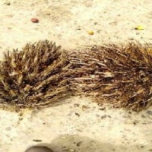 defect_test (102).jpg