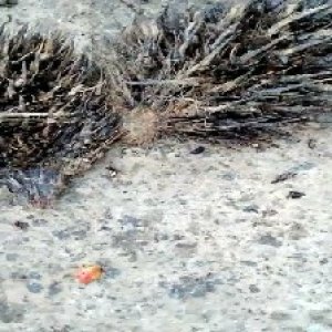 defect_test (106).jpg