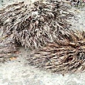 defect_test (11).jpg