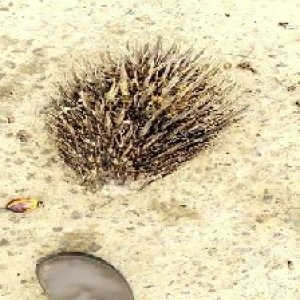 defect_test (121).jpg