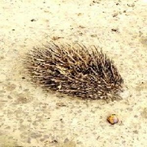 defect_test (122).jpg