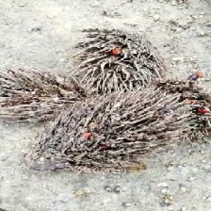 defect_test (125).jpg