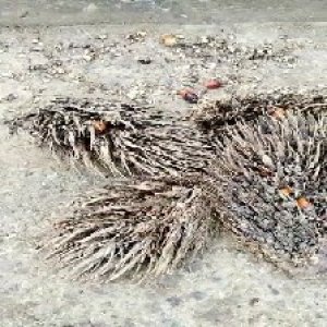 defect_test (126).jpg