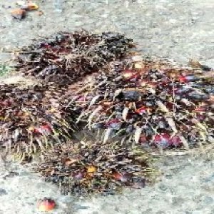 defect_test (131).jpg