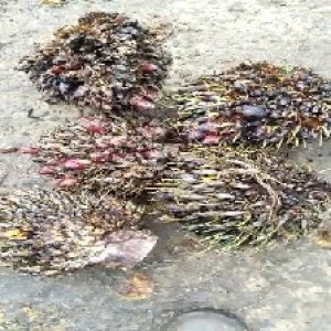 defect_test (134).jpg