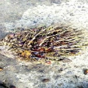 defect_test (140).jpg