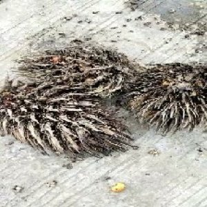 defect_test (78).jpg