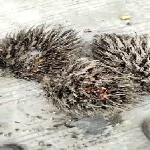 defect_test (79).jpg