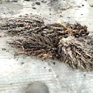 defect_test (83).jpg