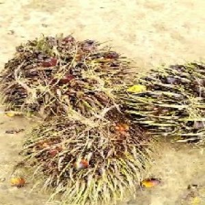 defect_test (84).jpg