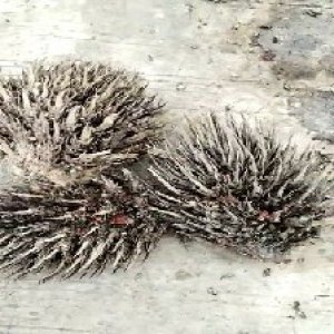 defect_test (85).jpg