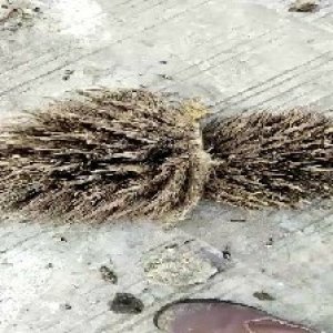 defect_test (87).jpg