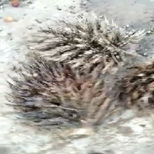 defect_test (91).jpg