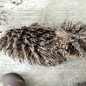 defect_test (92).jpg