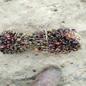 defect_test (93).jpg