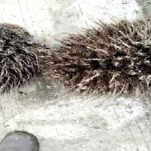 defect_test (96).jpg