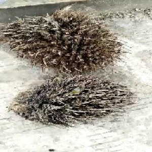 defect_test (97).jpg