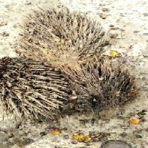 defect_test (99).jpg