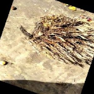 defect_train (1001).jpg