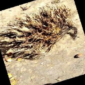 defect_train (1011).jpg