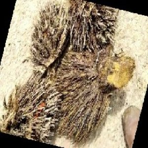 defect_train (1089).jpg