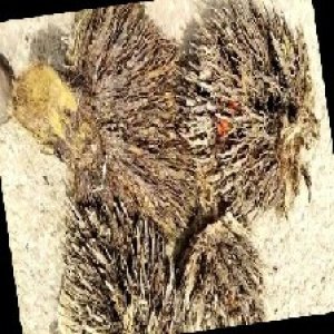 defect_train (1094).jpg