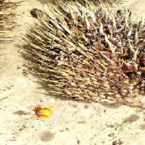 defect_train (11).jpg