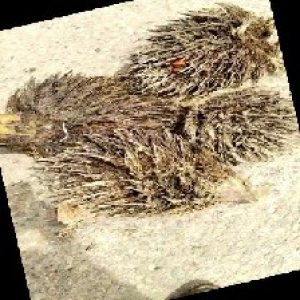 defect_train (1100).jpg