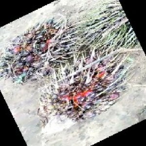 defect_train (1107).jpg