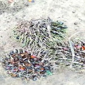 defect_train (1111).jpg