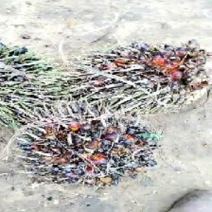 defect_train (1113).jpg