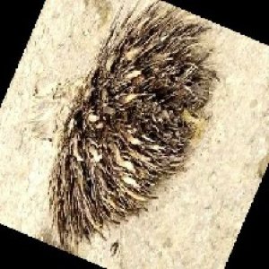 defect_train (1118).jpg