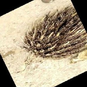 defect_train (1119).jpg