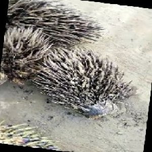 defect_train (112).jpg