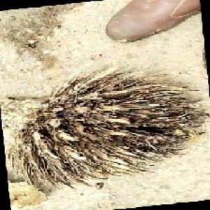 defect_train (1121).jpg