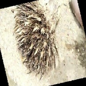 defect_train (1123).jpg