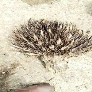 defect_train (1125).jpg