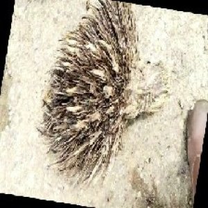 defect_train (1126).jpg