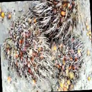 overripe_train (1344).jpg