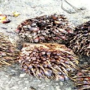 defect_valid (105).jpg