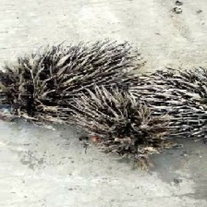 defect_valid (11).jpg