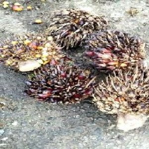 defect_valid (111).jpg