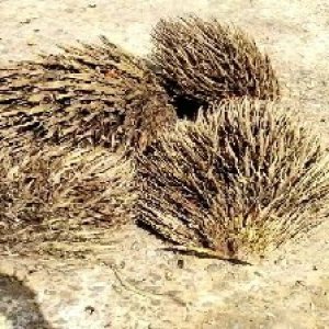 defect_valid (120).jpg