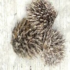 defect_valid (138).jpg