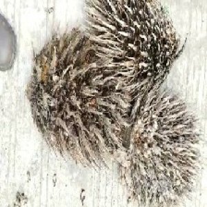 defect_valid (139).jpg