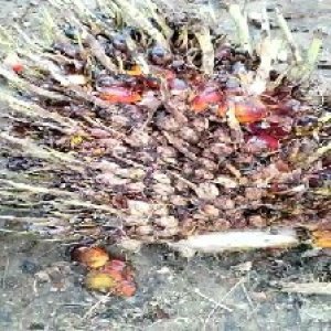 defect_valid (14).jpg