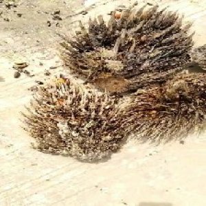 defect_valid (15).jpg