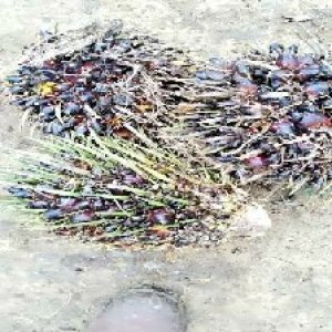 defect_valid (156).jpg