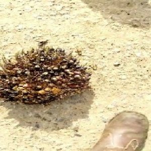 defect_valid (164).jpg