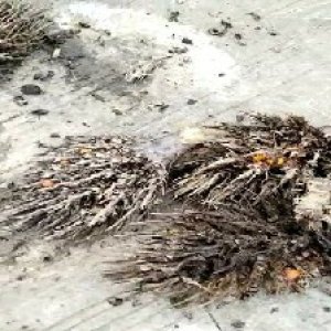 defect_valid (172).jpg